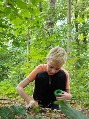 BSB-child-nature-collecting